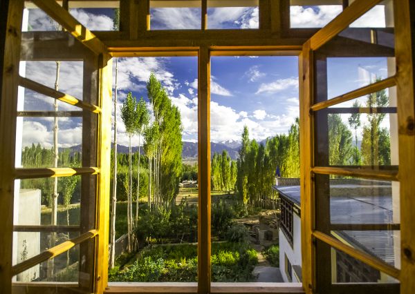 Wood Window Replacement in Elk Grove